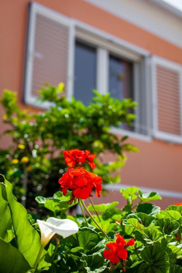 Villa Nedika พอดโกรา ภายนอก รูปภาพ